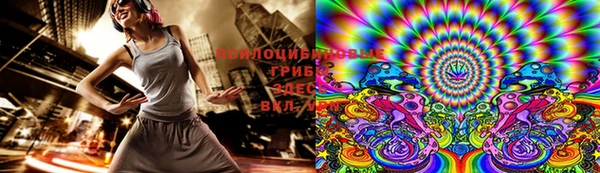индика Верхнеуральск