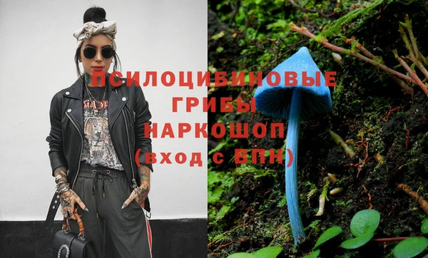 индика Верхнеуральск
