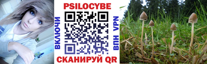 Галлюциногенные грибы GOLDEN TEACHER  купить закладку  Киренск 